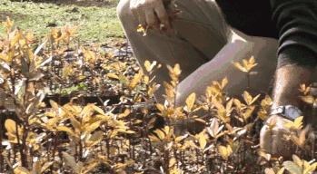 它被称为闭着眼都可以入的新西兰好物,小红书上已抢疯!