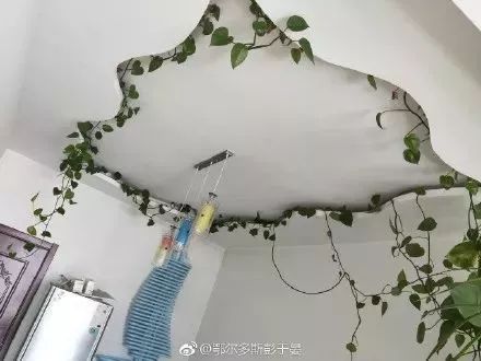 太刺激了！花了20w装修新房，结果被爸妈装成了公共厕所？