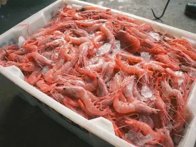 双十一去旅游,双11去双合石壁玩