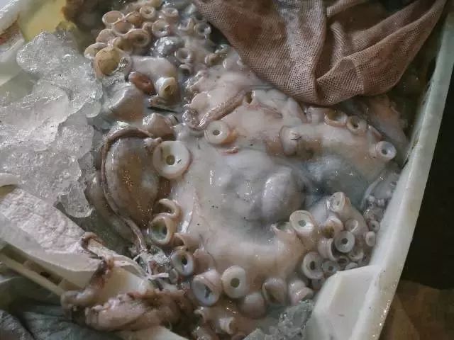 双十一去旅游,双11去双合石壁玩