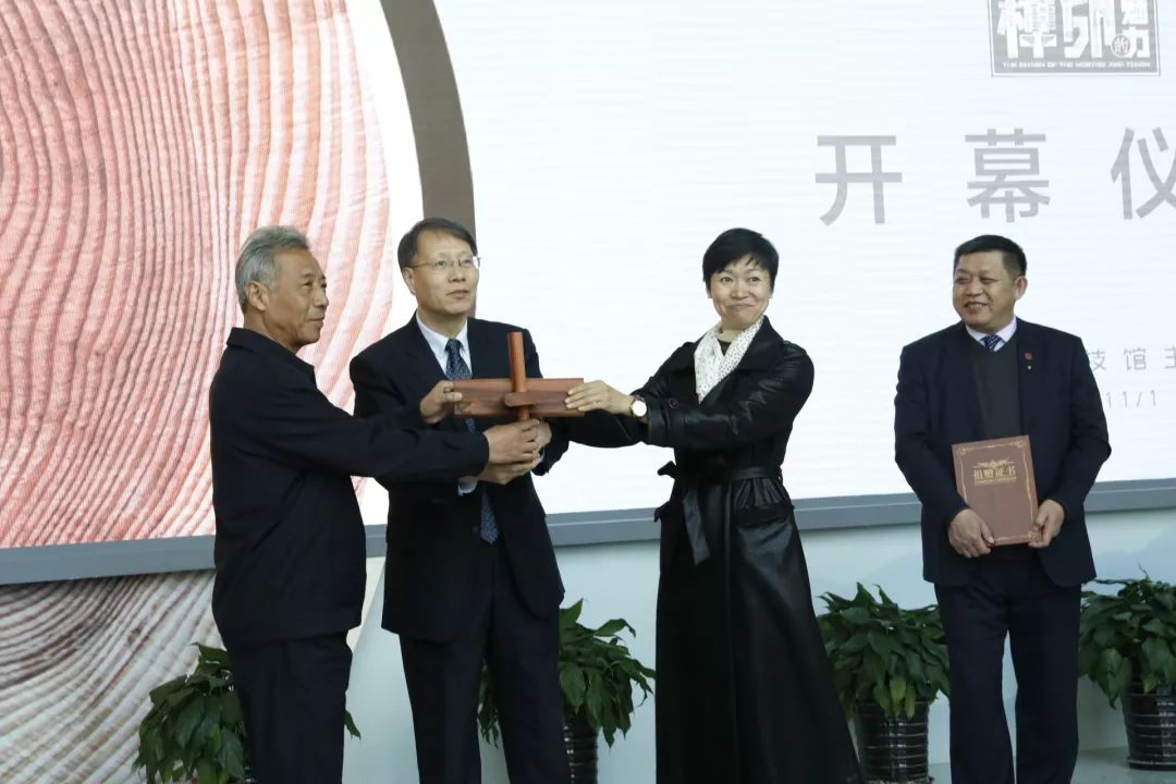 榫卯结构故宫拼装,中国馆榫卯结构解锁