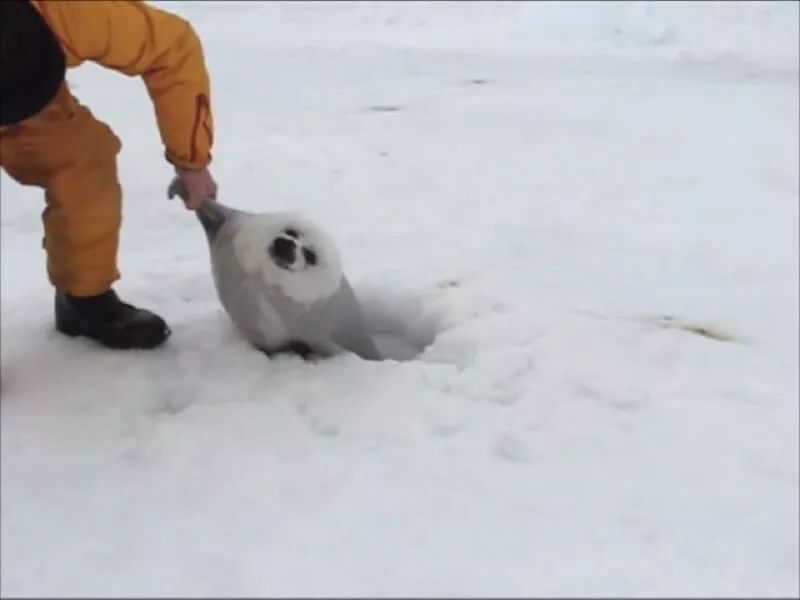日本治疗鼻炎神药,日本治鼻炎的最佳方法