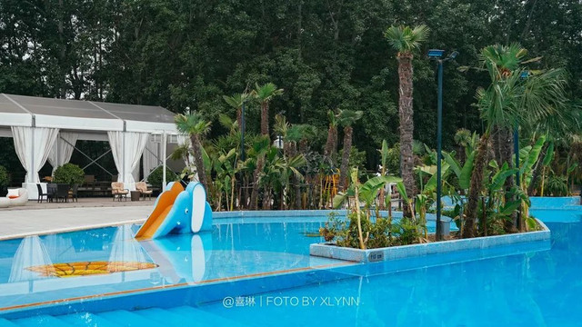 羊驼陪吃早餐，天鹅湖中畅游，藏身北京奥森旁的休憩之地：在之禾