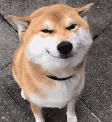 内衣怎么拍产品图,实体店内衣怎么拍抖音