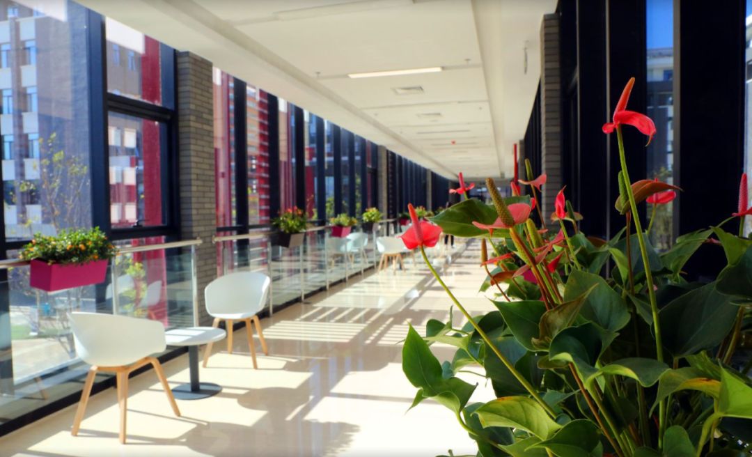 北京师范大学昌平校区启用，来看校内美景组图~