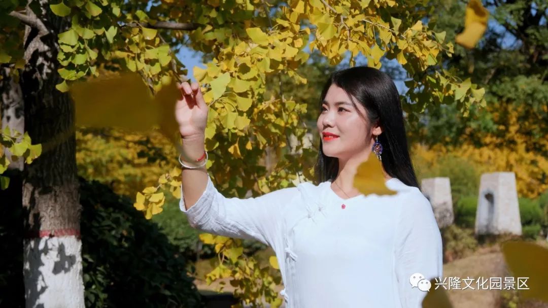 巴山夜雨电影1980,巴山夜雨1980老电影