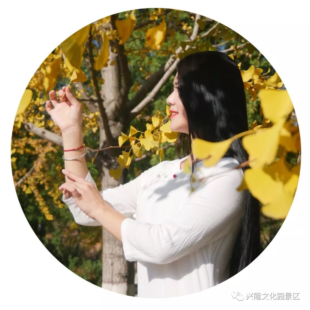 巴山夜雨电影1980,巴山夜雨1980老电影