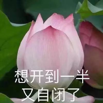 史上最严养狗令：早7点到晚22点禁止遛狗！网友吵翻了……