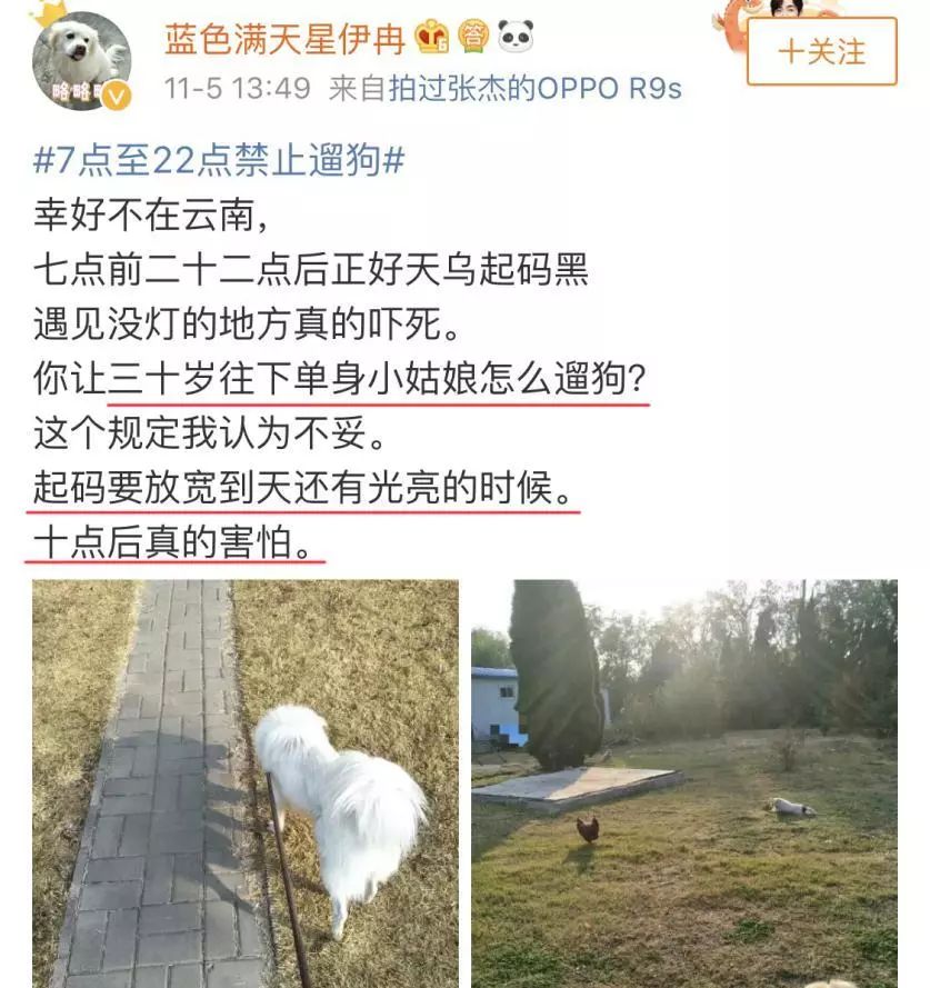 史上最严养狗令：早7点到晚22点禁止遛狗！网友吵翻了……