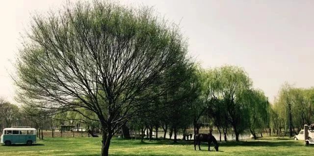 松江区比较好的酒店,上海松江高档温泉酒店