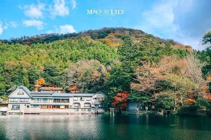 日本十大顶级宝库,日本隐藏的宝藏