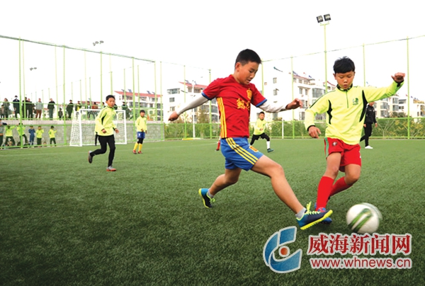 望岛足球,望岛足球公园