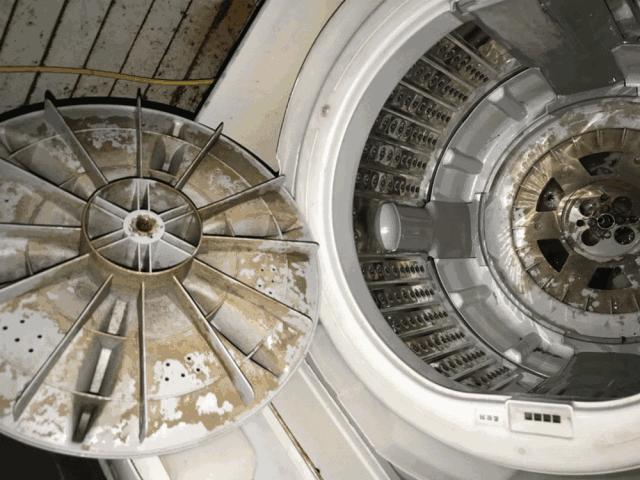 洗衣机加水有臭味怎么办,洗衣机污垢和霉菌