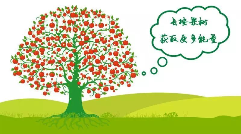 蜂窝车联（C-V2X）工作组第十次全体会议召开，探讨车联网产业化关键问题