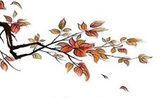 养生堂直播间预防脑梗,养生堂脑梗完整视频