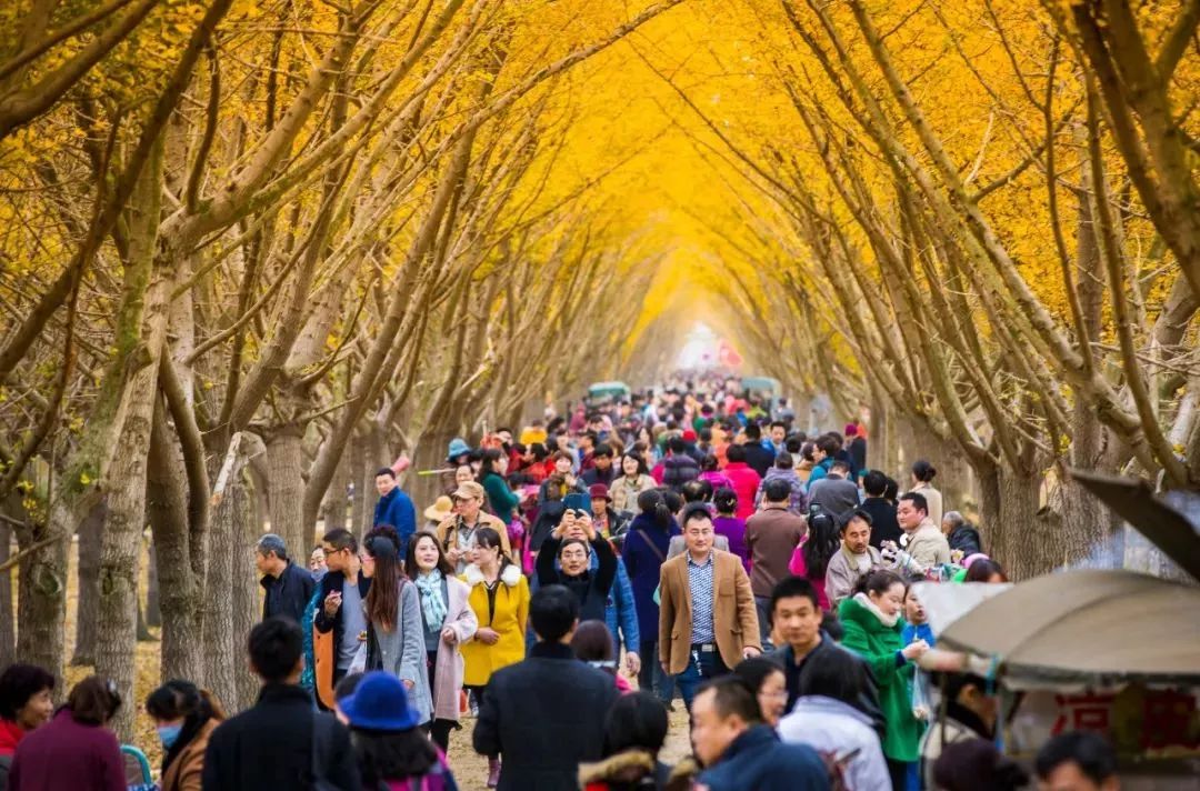 徐州秋景哪个地方最好看,徐州周边赏秋景的地方