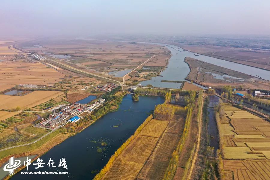 颍上庄台变身记：“穷洼地”逆袭成为“绿富美”