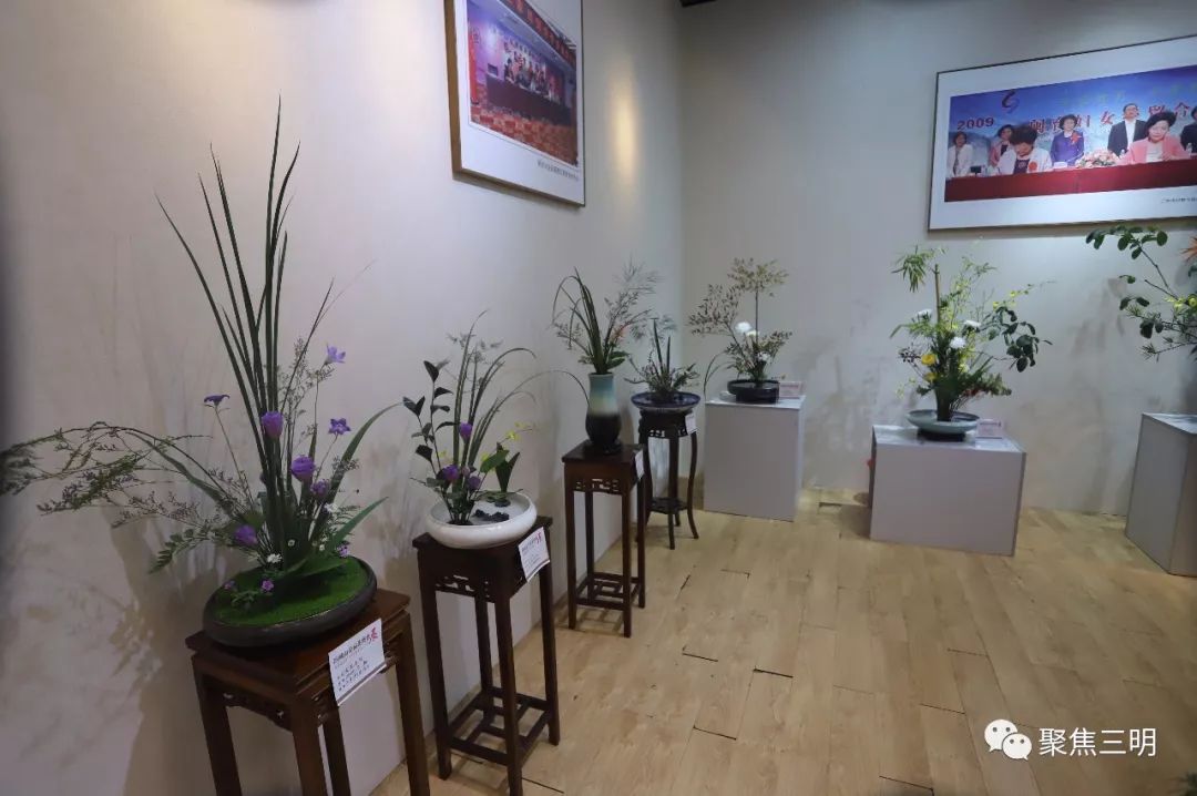 林博会上插花艺术家现场教你插花，还有50多件花艺大师作品亮相！