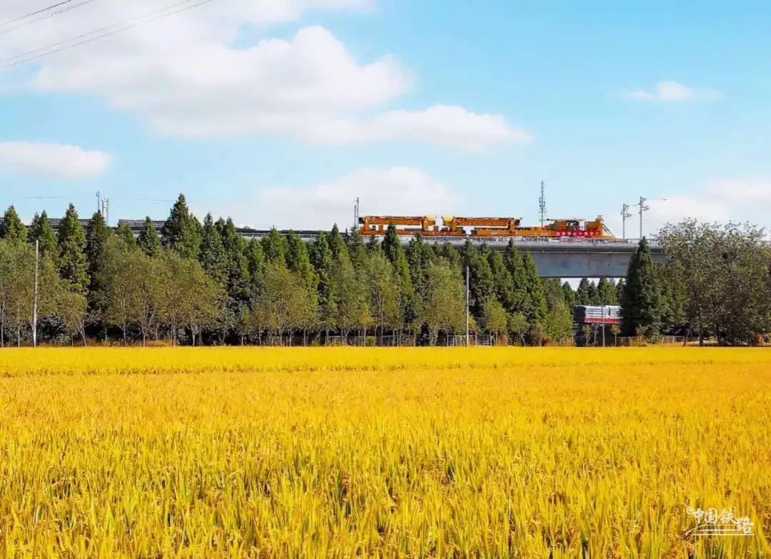 中国大国重器超级工程,有哪些中国铁路工程震撼到你