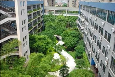 佛山最受家长欢迎的小学TOP5，你的学校上榜了吗？