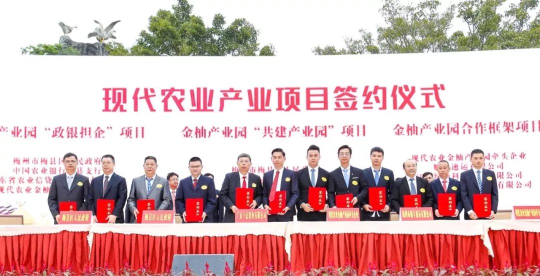 梅县最好吃的柚子在这里！（文末有福利）