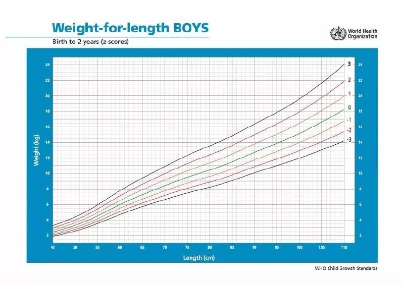 8个月宝宝偏瘦正确的饮食喂养,如何判断宝宝的体重是否超标
