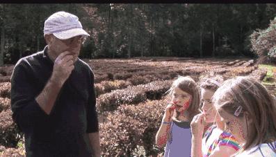 愿生活有惊喜愿喜欢有回应,希望生活有惊喜希望喜欢有回应