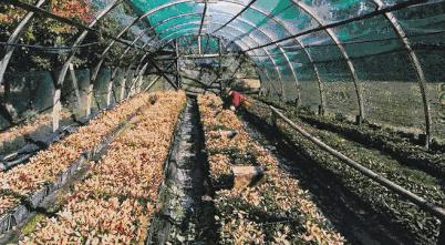 愿生活有惊喜愿喜欢有回应,希望生活有惊喜希望喜欢有回应