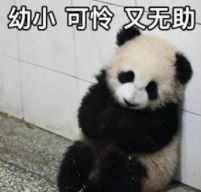 100块的维C成本才2块？对，剩下98块都是我们交的智商税！