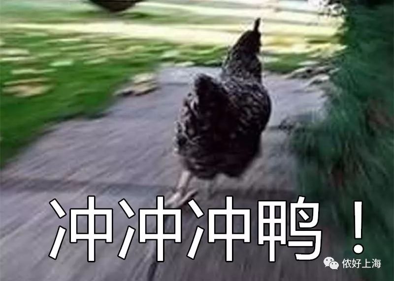 9小时剁手51亿!河南人在天猫上消费能买空“大卫城+国贸360全年”