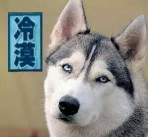 总有人上当刷单诈骗到底什么套路,刷单骗局一般多少金额开始套路