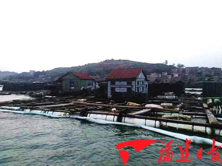 泉港碳九泄漏,泉港泄漏碳九