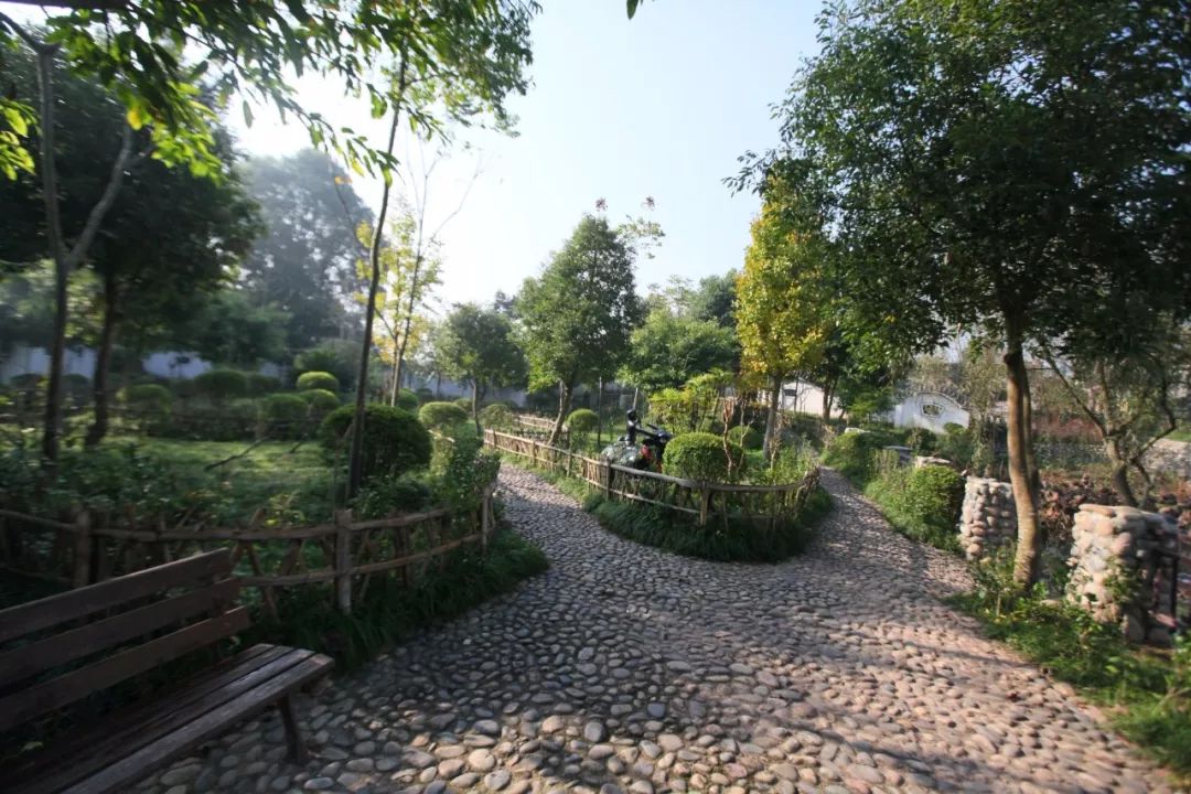 关注｜凭什么？安乐乡卫生院蝶变为“最美”乡卫生院