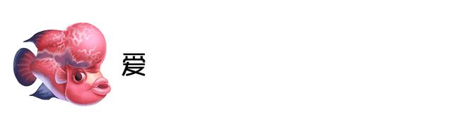 罗汉鱼多大开始发色起头,罗汉鱼怎么红的多