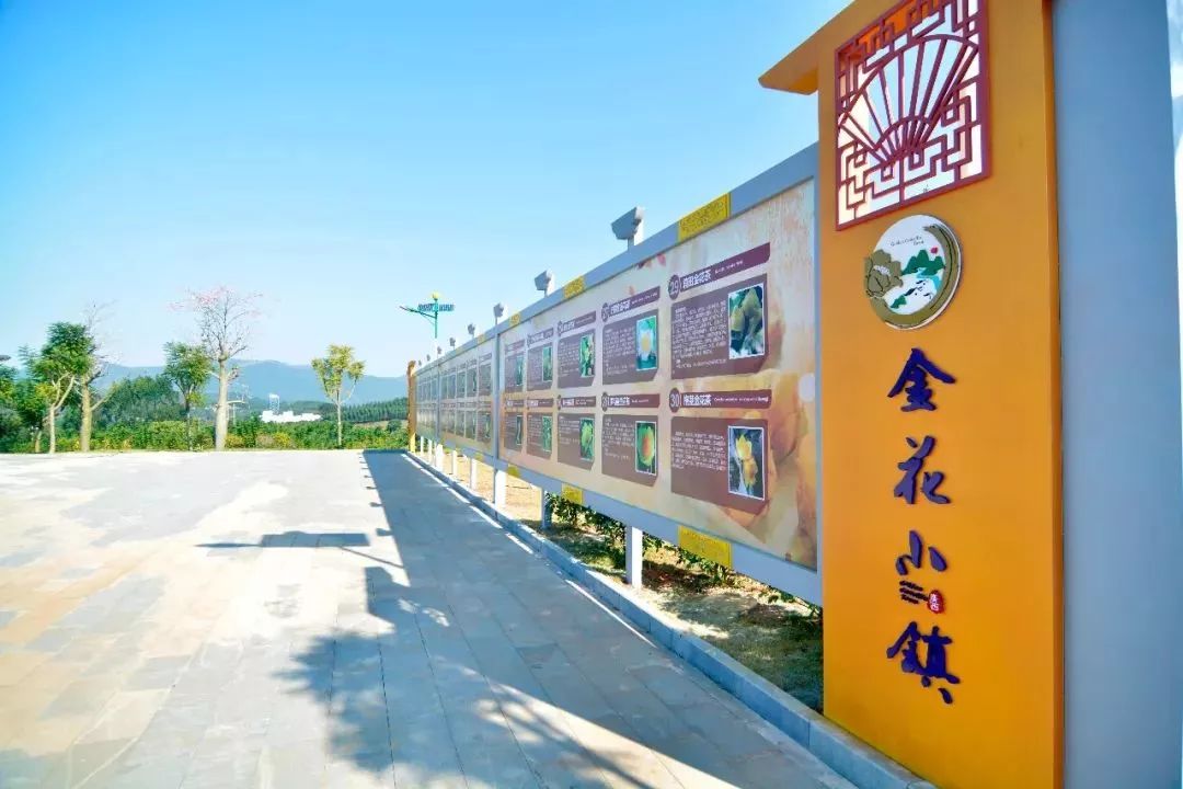 南宁哪里有摘火龙果的地方,南宁周边哪里有火龙果摘