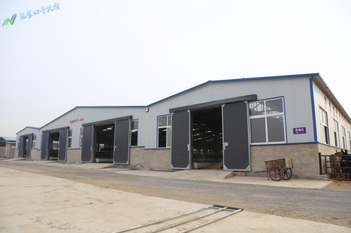 驴脱贫致富新路径,脱贫攻坚养殖致富新路子