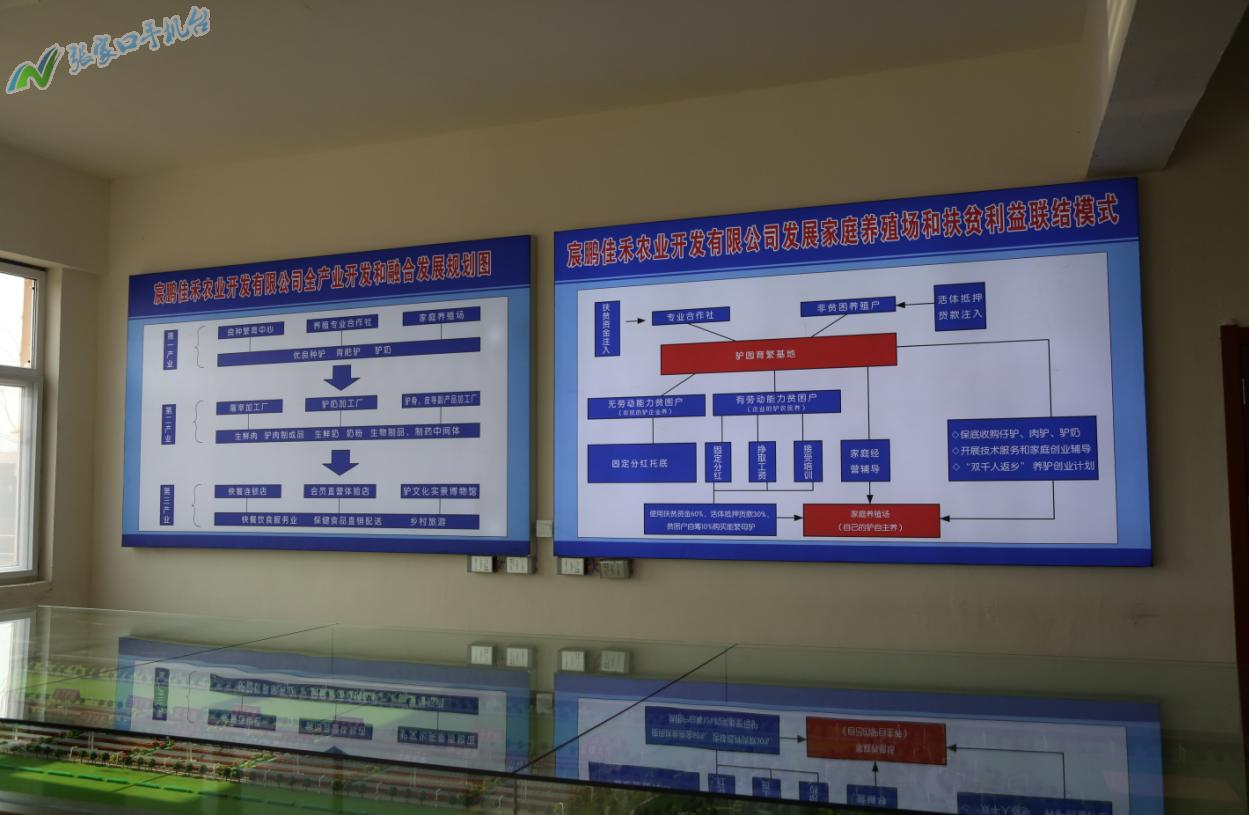 驴脱贫致富新路径,脱贫攻坚养殖致富新路子