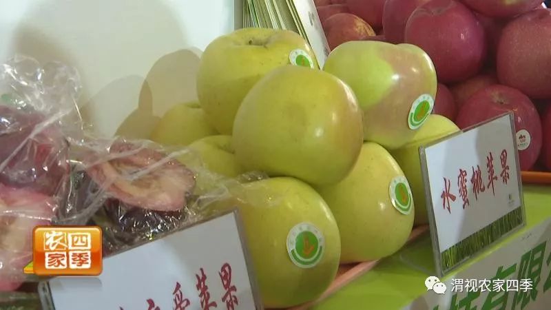 小罗带你逛超市,小罗带你走进水果基地