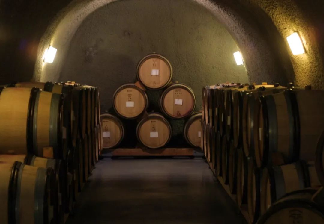 葡萄酒里的添加剂有哪些,葡萄酒添加剂二氧化硫和焦亚硫酸