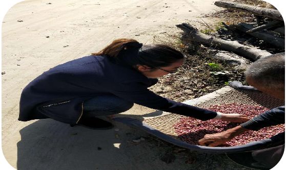 我的扶贫故事用真情温暖人心,扶贫故事90后女支书的扶贫路