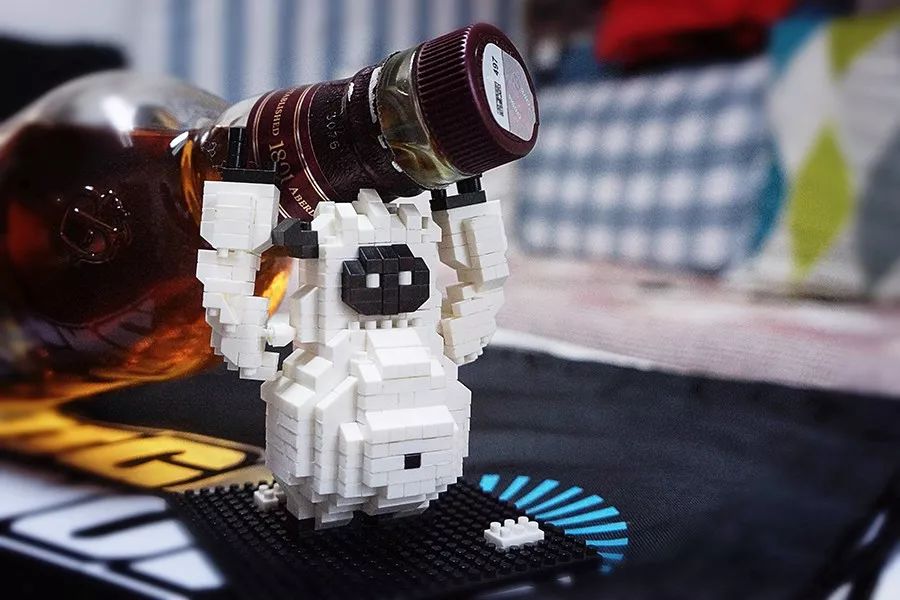 加拿大二级滑雪教练,加拿大csia单板二级什么水平