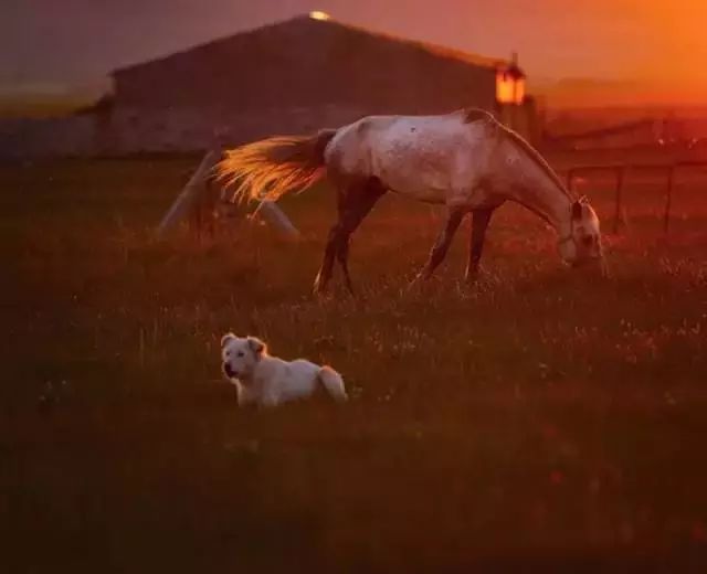 鏀归潻鍗拌鍐呭,鏀归潻鍗拌姝屾洸