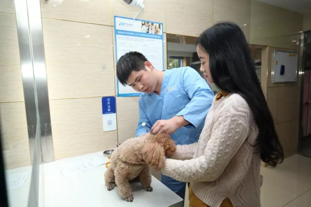 马鞍山市市区疫苗接种最新通告,马鞍山今天疫苗通知