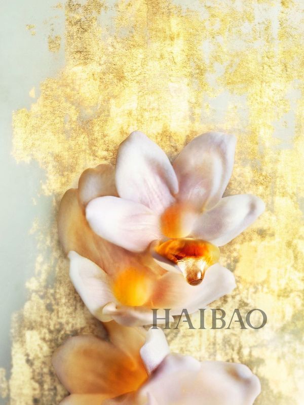 迪奥查理兹塞隆采访,dior迪奥路易威登