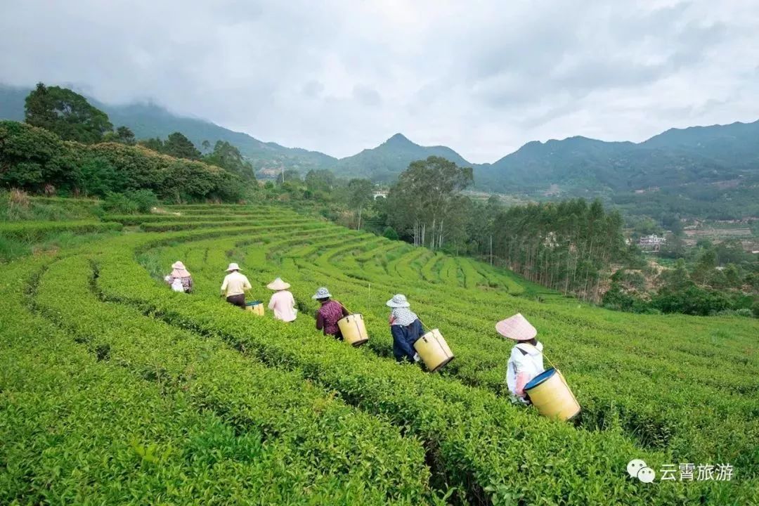 山海闽西南|乐吃、乐游、乐开怀！带上这份攻略，玩转云霄~