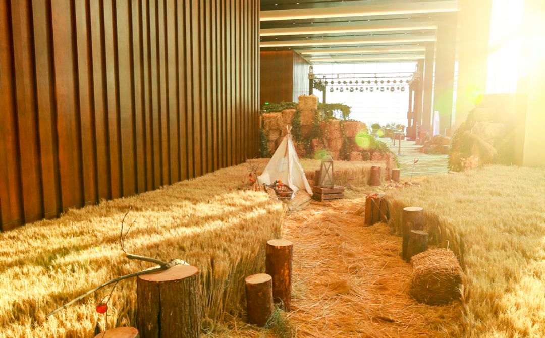 这标题太难起了！帮面包君想标题，送盐田虾1份（福利）｜城市指南
