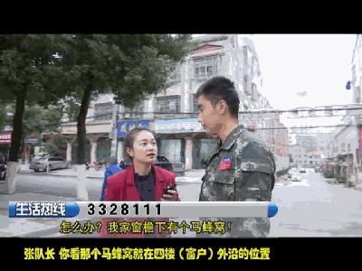 我家窗户上有个马蜂窝,我家窗户外有蜂窝什么原因