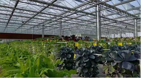 收藏沧州最新最全旅游攻略来啦,沧州华东五市旅游攻略