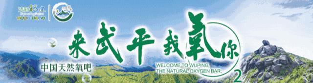 武平省级科技孵化器四期项目,武平工业园区孵化器