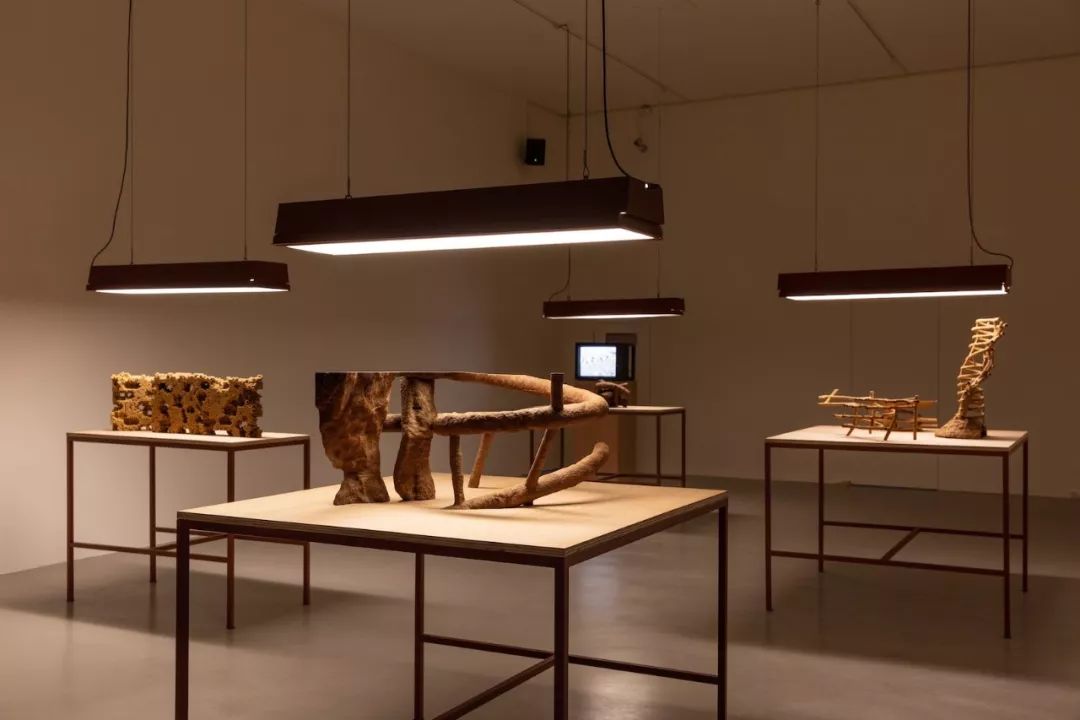 2023凤凰双年展,凤凰艺术展台北